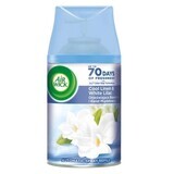 Air Wick, Recharge pour purificateur d'air automatique, bavena et migda, 250ml