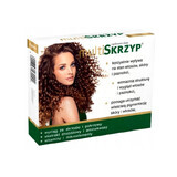 Multiskrzyp, 45 comprimidos