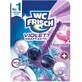 Toilette Frisch Violett Kraft Aktiv Magnolie, Hänge-WC, 1 Stück