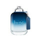 Coach Blue Eau de toilette, 100ml