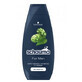 Schauma Men, Shampoo, 400 ml
