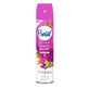Brait, Orientalischer Garten Duftspray, 300ml