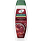 Palmolive, Șampon pentru păr vopsit, 350 ml
