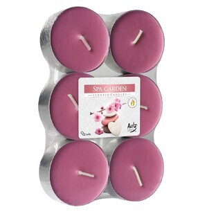 Bispol Duftende Maxi Spa Garden Maxi Garden Spa Warmers, 6 Stück