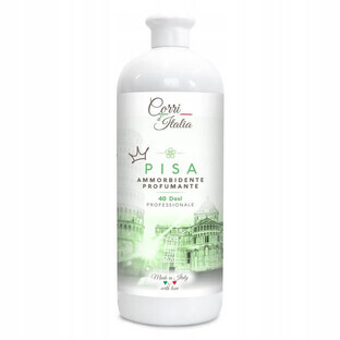 Batidor Concentrado Corri d'Italia Pisa, 1000ml