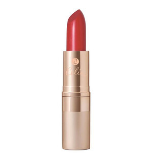 Celia Moisturizing lipstick powder 509