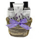 Aurora Geschenkset Lavender el 180 ml + Shampoo 180 ml + Lotion 60 ml