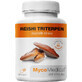 MycoMedica Reishi triterpen 90 gélules
