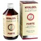 Silvita HYALGEL FORTE orange flavored syrup 500 ml