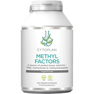 Cytoplan METHYL FACTORS - B1 + Betaine + B2 + B6 + Folic Acid (L-Methylfolate) + Vitamin B12 and Zinc 60 capsules