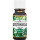 Saloos Red Orange Essential Oil 10 ml