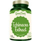 GreenFood Nutrition Extracto de Equinácea 90 cápsulas