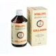 Silvita HYALGEL COLLAGEN sirop aromatisé à l'orange 500 ml