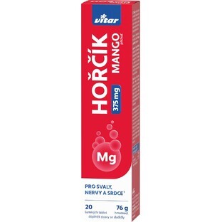 Vitar MAGNESIUM 375 mg met mangosmaak 20 bruistabletten