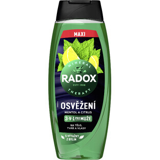 Radox Refreshment gel douche pour hommes 450 ml
