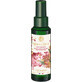 Yves Rocher Christmas Spice Scented Body and Hair Spray 100 ml