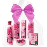 Biofresh Pachet cadou de produse cosmetice Bulgarian Rose Rose din Bulgaria 6 buc