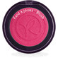 Yves Rocher Colore per guance ultra pigmentato Rosa Fucsia 2,7 g