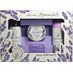 Body Tip Body Tip Lavender Pachet cadou Premium cu ulei de lavandă în cutie de hârtie