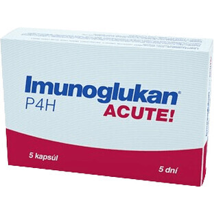 Pleuran Imunoglucan P4H ACUTE 300 mg 5 capsule