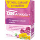 GS Anxiolan 60 comprimés