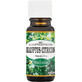 Saloos Eucalyptus Citriodora 10 ml