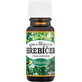 Saloos Clove 10 ml