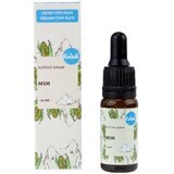Kvitok Facial Serum - MSM 10 ml