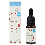 Kvitok face serum - Dragon's blood 10 ml