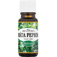 Saloos menta 10 ml