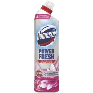 Domestos Power gel floral frais 700 ml