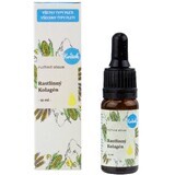Kvitok Facial Serum - Collagen (vegetal) 10 ml