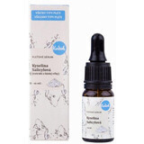 Kvitok Spring Serums - Salicylic Acid 10 ml