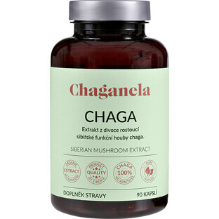 Chaganela Siberian Chaga Extract 90 capsules