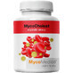 MycoMedica MycoCholest 120 capsules