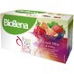 Biogena Fantastic Tea Fruit Mix 4 tipi di bustine 20 pz.
