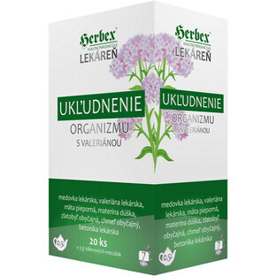 Herbex Corpo calmante con valeriana Tisana porzionata (60 g) 20 x 3 g