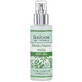 Saloos Citroenmelisse water 100% biologisch 100 ml