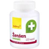 Extrait de Ginseng de Wolfberry 120 gélules