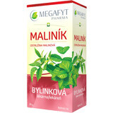 Megafyt Kruidenapotheek Bramen Framboos 20 x 1,5 g