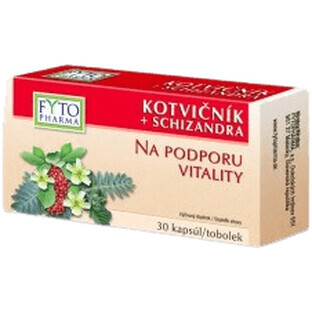 Fyto Pharma FYTO POT + SCHIZANDRA 30 cápsulas