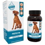 Topvet Humate tablets - Protectin 90 tablets