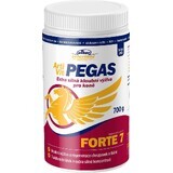 Vitar Veterinae Artivit Artivit PEGAS FORTE 7 lose Mischung 700 g