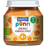 Salvest Ponn Biologische pompoenpuree 125 g
