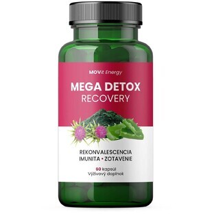 Movit Energy Mega Detox Recovery 60 capsule