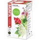 Fyto Pharma Mélange de plantes pour le soutien immunitaire, 20 x 1,5 g