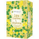 Megafyt Lime with honey and lemon sachet 20 x 2 g