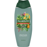 Palmolive Forest Edition Aloe You Shower Gel 500 ml