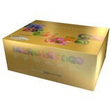 Colección de Té Biogena en bolsitas de vapor 6 x 10 x 2,5 g