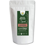 Salvia Paradise Phyto Protein Sport căpșuni 300 g